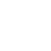 Berg Signal GPT